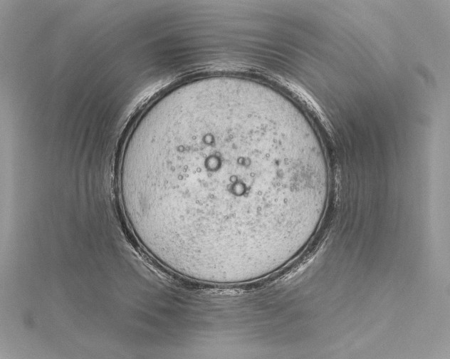 X0000115020930200911161443