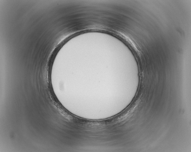 X0000115020931200911161443