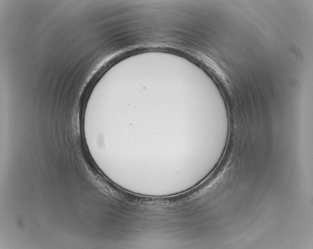 X0000115020934200911161443