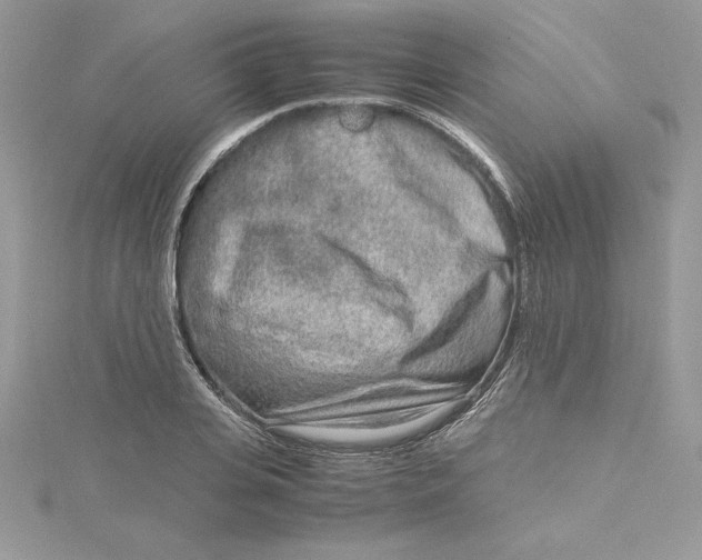 X0000115020935200911161443