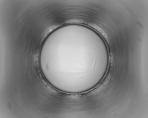 X0000115020937200911161443