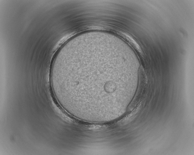 X0000115020938200911161443