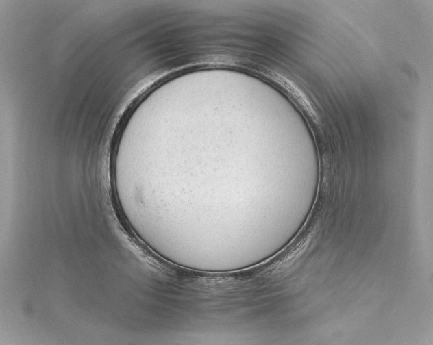 X0000115020939200911161443