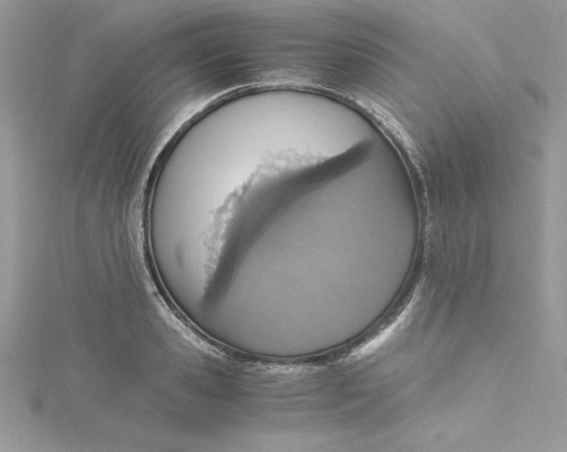 X0000115020941200911161443