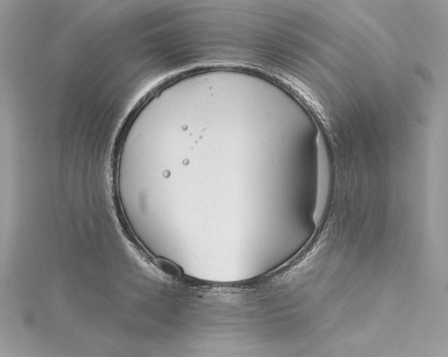 X0000115020942200911161443