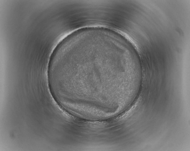 X0000115020943200911161443