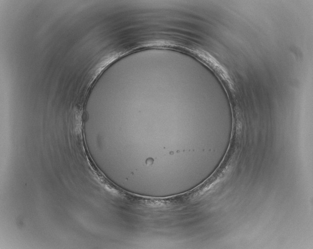 X0000115020945200911161443