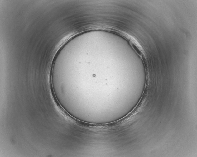 X0000115020946200911161443