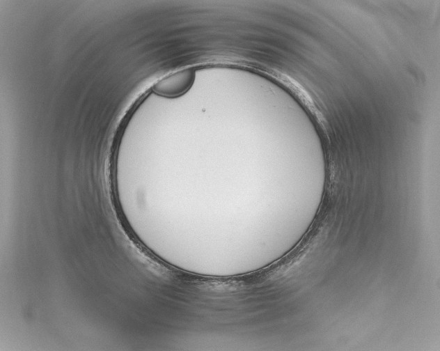 X0000115020947200911161443