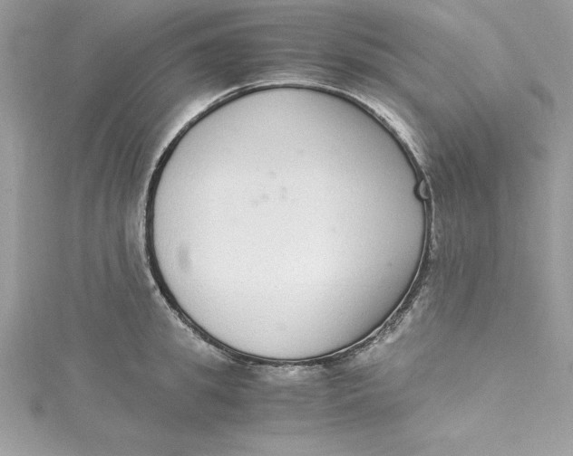 X0000115020949200911161443