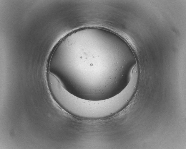 X0000115020950200911161443