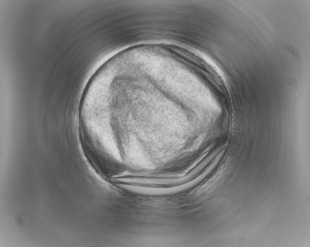 X0000115020951200911161443