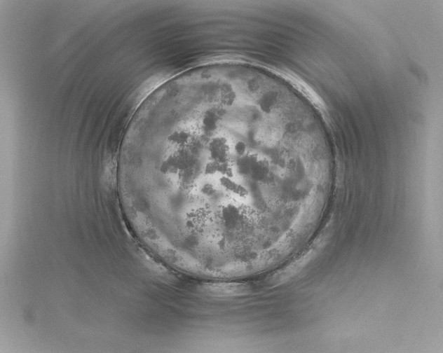 X0000115020953200911161443