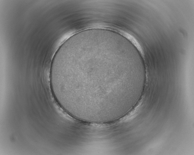 X0000115020954200911161443