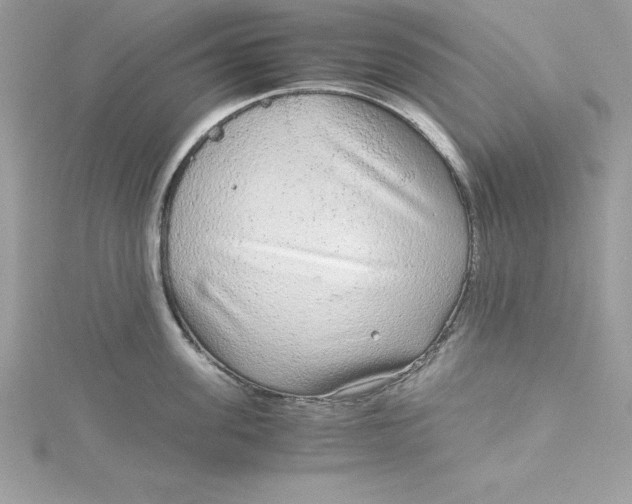 X0000115020955200911161443