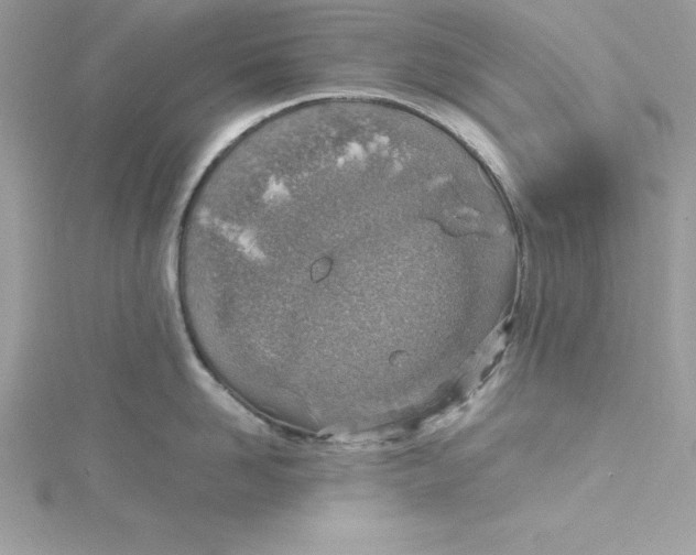 X0000115020958200911161443