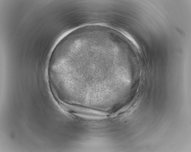 X0000115020959200911161443