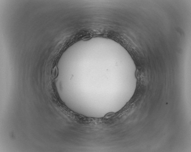 X0000115020961200911161442