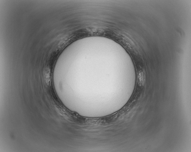 X0000115020963200911161442