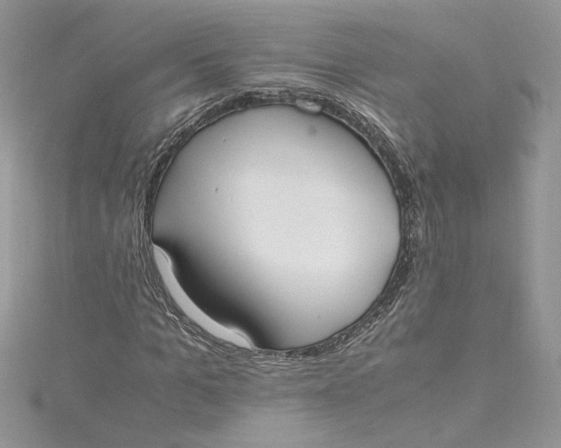 X0000115020965200911161442