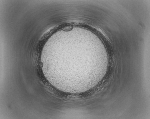 X0000115020967200911161442