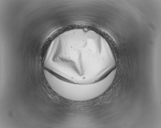 X0000115020968200911161442