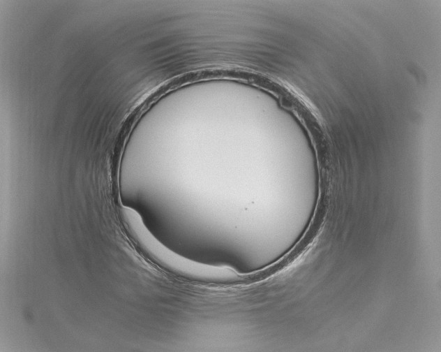 X0000115020969200911161442