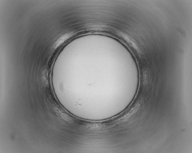 X0000115020970200911161442