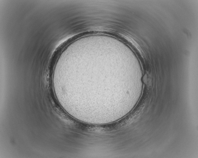 X0000115020971200911161442