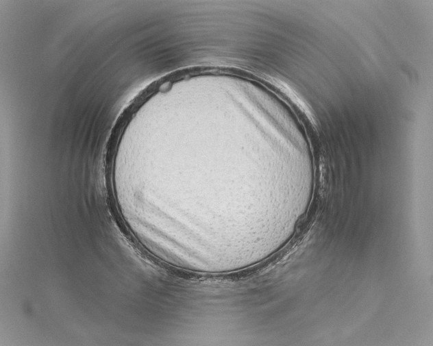 X0000115020972200911161442