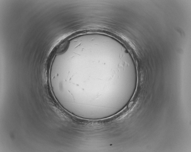 X0000115020973200911161442