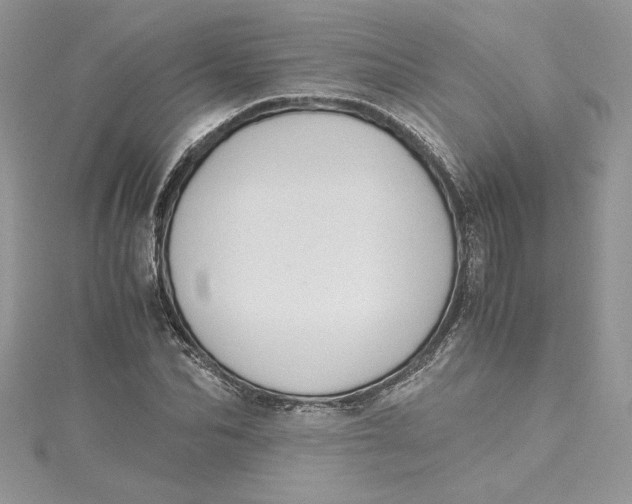 X0000115020974200911161442