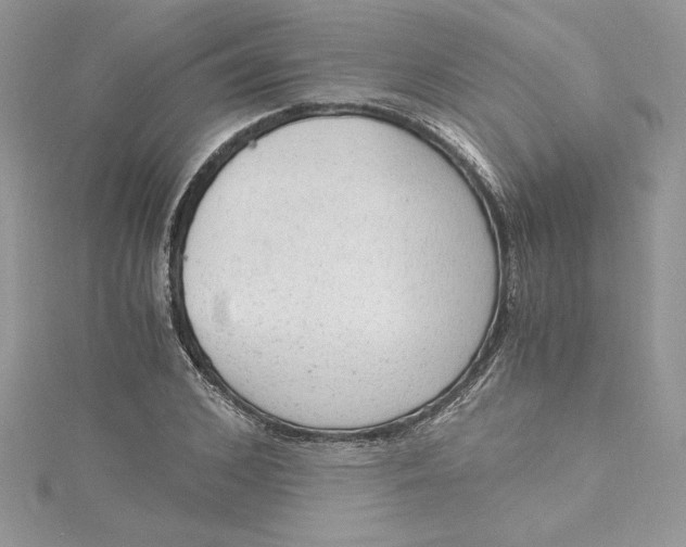 X0000115020976200911161442