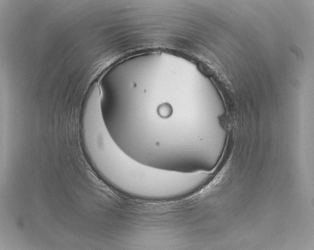 X0000115020977200911161442