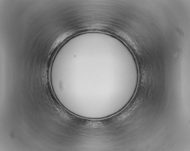 X0000115020978200911161442