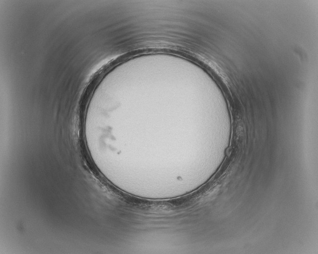 X0000115020979200911161442