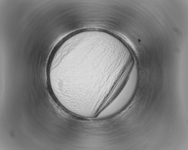 X0000115020980200911161442