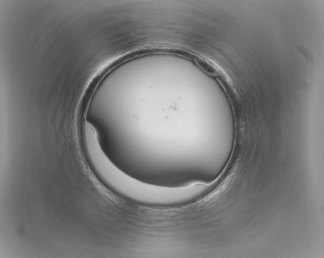 X0000115020981200911161442