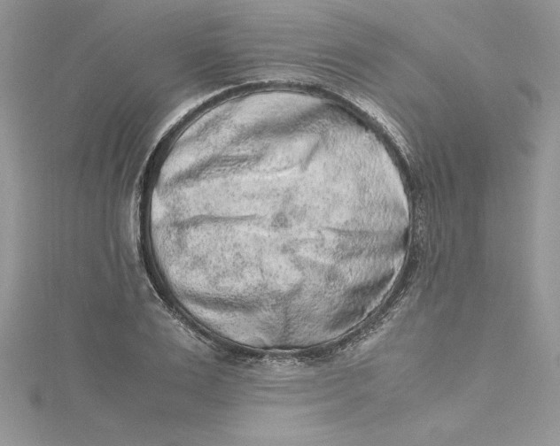 X0000115020983200911161442