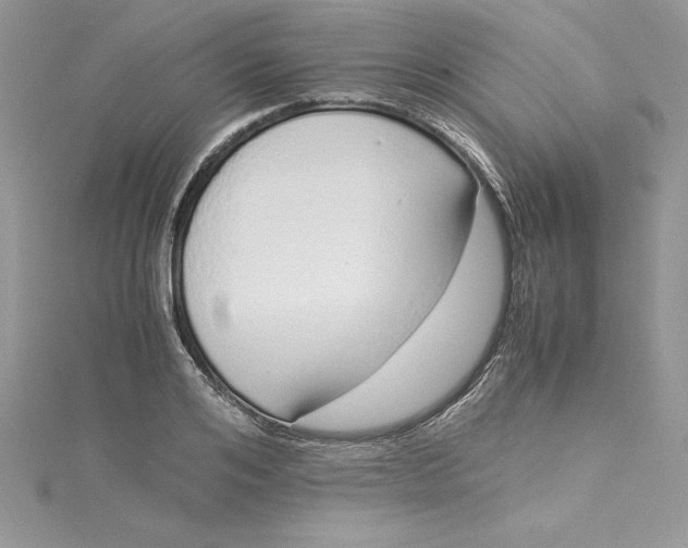 X0000115020984200911161442