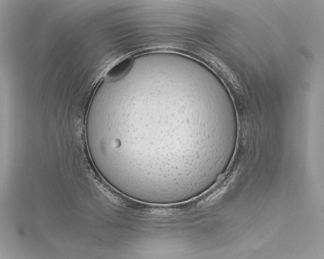 X0000115020985200911161442