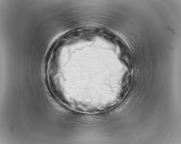 X0000115020987200911161442