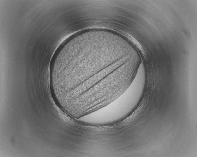 X0000115020988200911161442