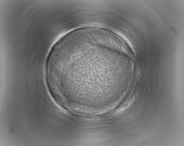 X0000115020989200911161442