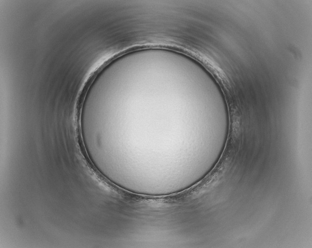 X0000115020990200911161442