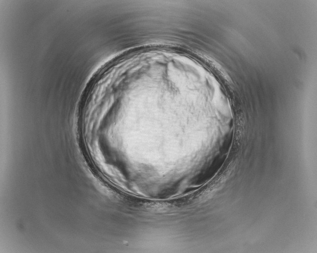 X0000115020991200911161442