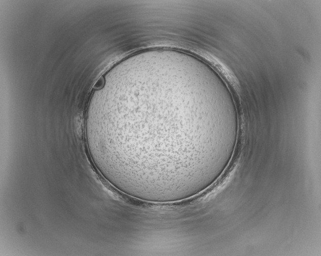 X0000115020993200911161442