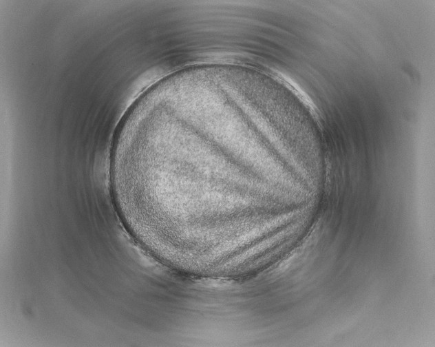 X0000115020994200911161442