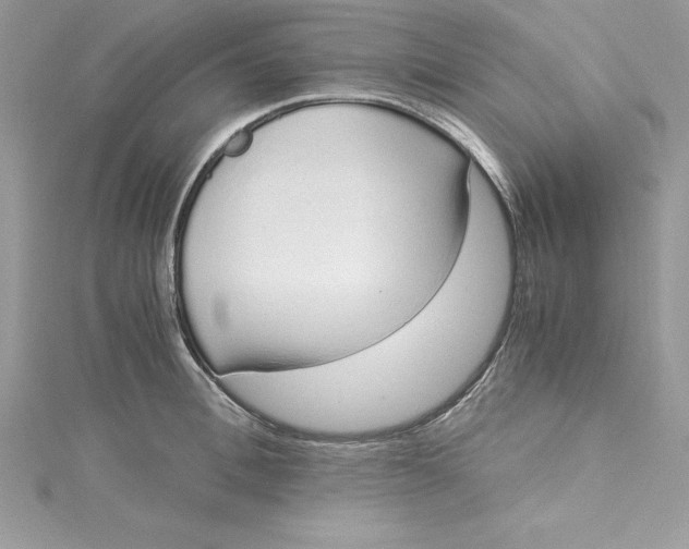 X0000115020996200911161442