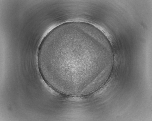 X0000115020998200911161442